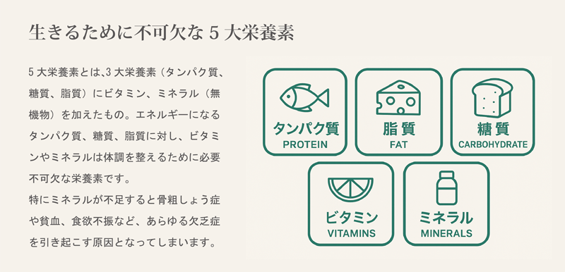 生きるために不可欠な5大栄養素