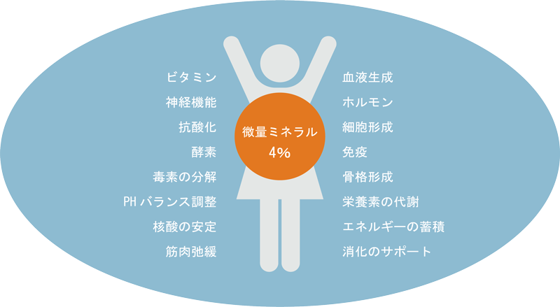 私たちの生命活動を司っているのはわずか4%の微量ミネラルです